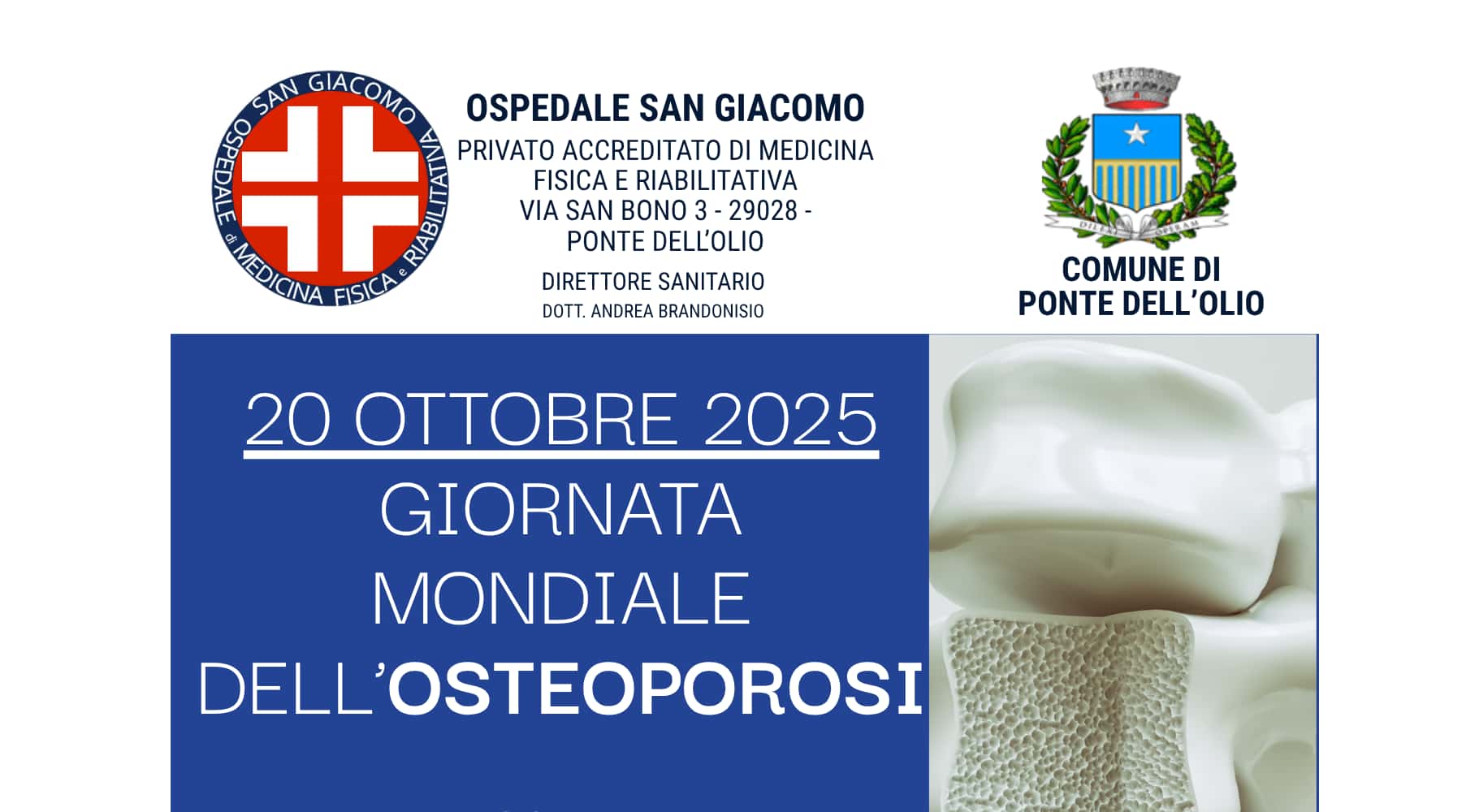 Clicca per accedere all'articolo Giornata Mondiale dell'Osteoporosi