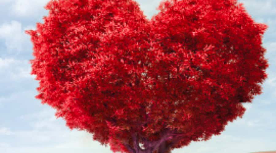 Clicca per accedere all'articolo Piacenza Cardiac Arrest 2026 - Dalla prevenzione al trattamento 